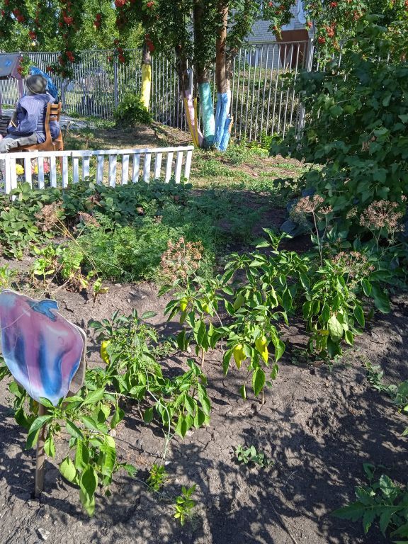 IMG_20210823_105830.jpg