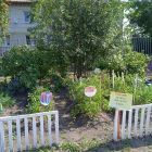IMG_20210823_105808_1.jpg
