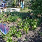 IMG_20210823_105830.jpg