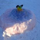 IMG-20230120-WA0009.jpg